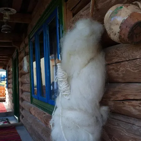 La Rodica In Vale Ocna Şugatag